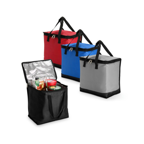 Bolsa Térmica Oxford 20 Litros Alumínio 28,5x29cm